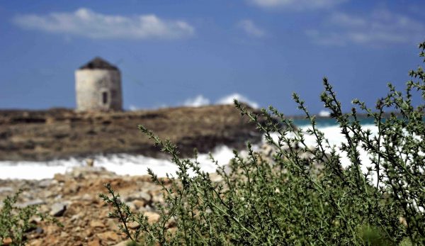 Κάσος