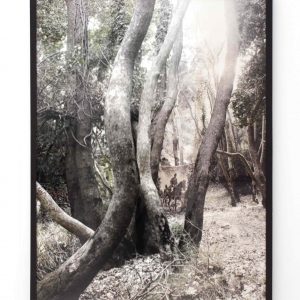 Tassos Vrettos Τάσσος Βρεττός, The Woods, 2007, τύπωμα σε χαρτί fine art, 160x120 cm.
