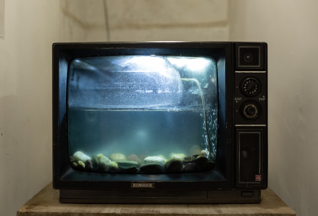 Netflix Ertflix