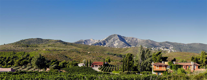 Κτήμα Κοκοτού