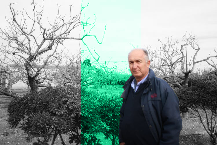 Νίκος Τζίτζης