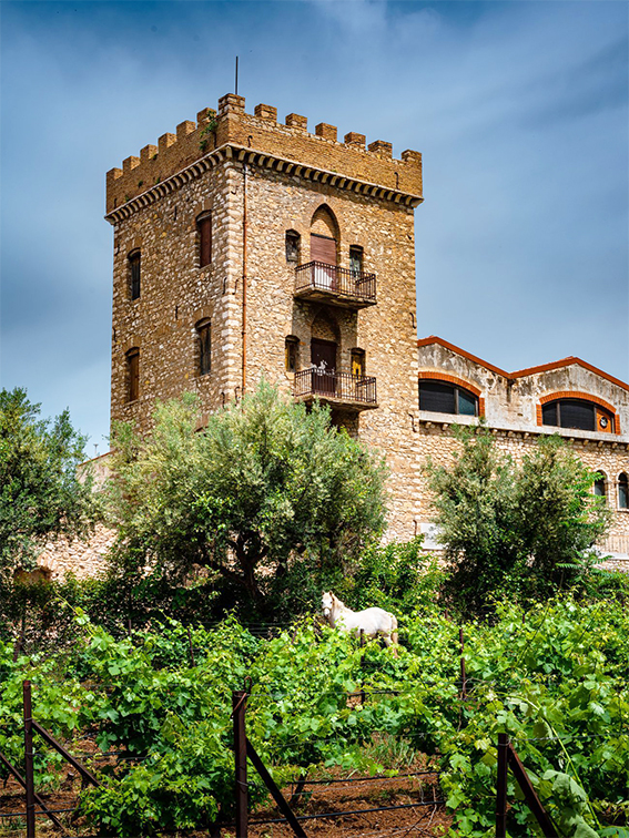 Achaia Clauss