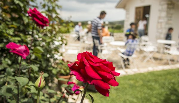 Φεστιβάλ Βιβλίου στο Κτήμα Κοκοτού
