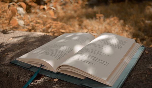 Βραχείες Λίστες Κρατικών Λογοτεχνικών Βραβείων 2020
