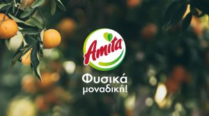 χυμοί amita