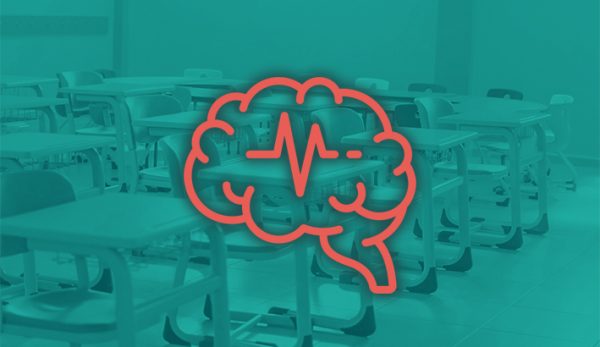 Νευροεκπαίδευση νευροαρχιτεκτονική