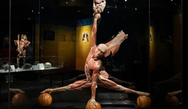 BODY WORLDS