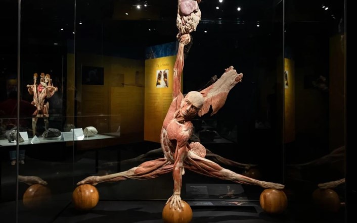 BODY WORLDS
