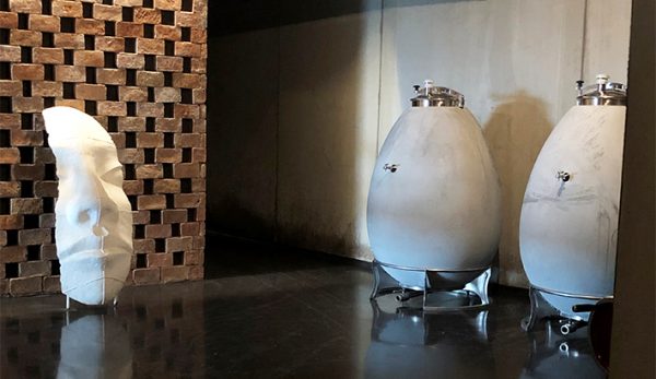 Wine & Egg