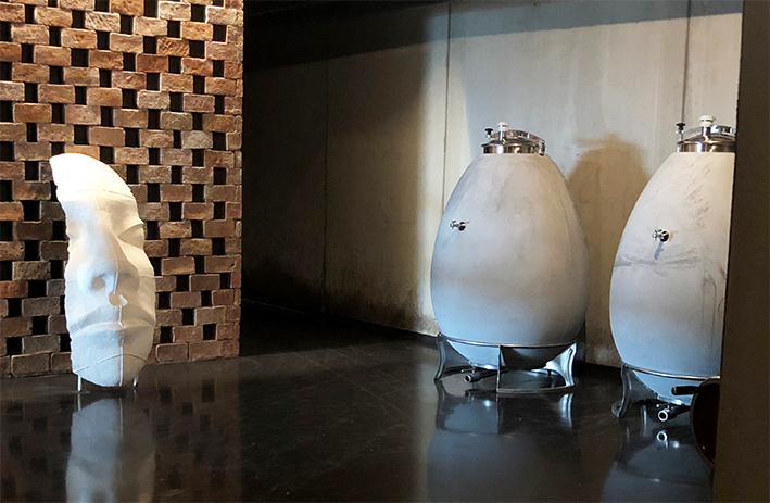 Wine & Egg