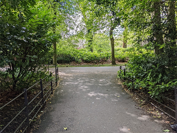 stephens greens