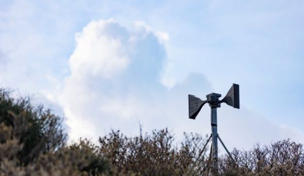 World Weather Network