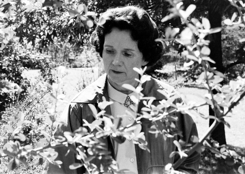 Rachel Carson