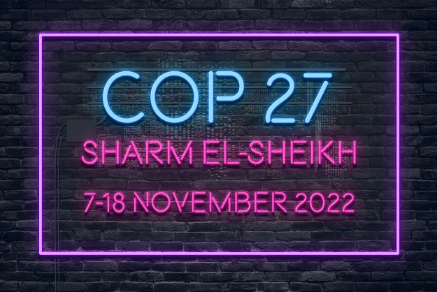 COP 27