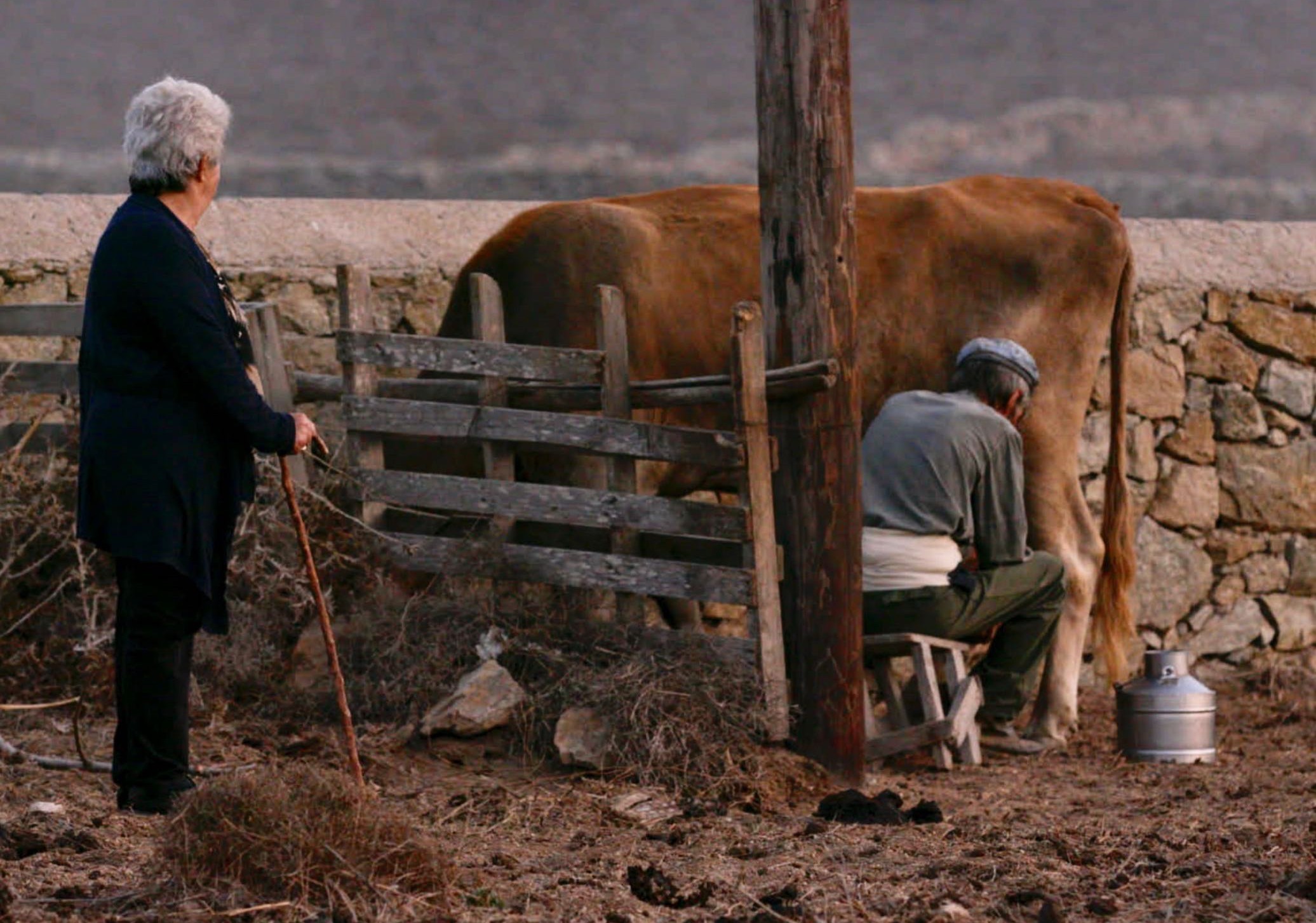 «Mykonian Pastoral» Ελιάνα Αμπραβανέλ