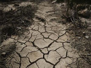 ClimateRefugees