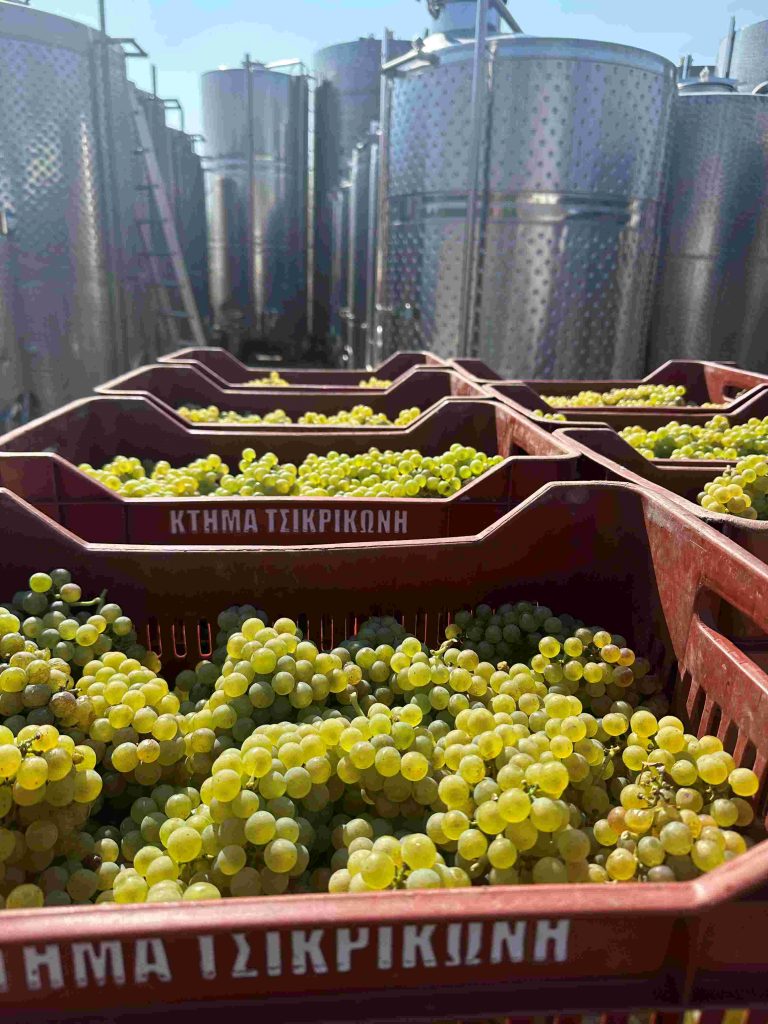 HarvestStories